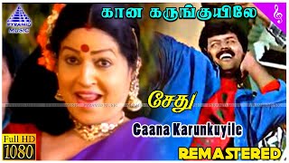 Gaana Karunkuyile Video Song  Sethu Tamil Movie Songs  Vikram  Bala  Ilaiyaraaja  சேது [upl. by Napra572]