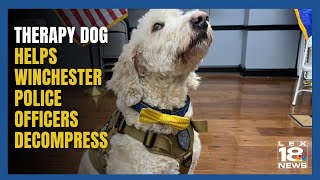 Therapy Dog Helps Winchester KY Police Decompress [upl. by Benji]