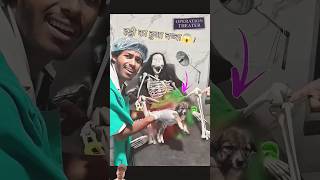 haadi 💀का कुत्ता हुआ😱😱 comedy​ dog [upl. by Mayor]