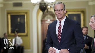 Senate Republicans Pick John Thune as New Majority Leader  WSJ News [upl. by Aitsirt]