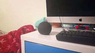 Echo dot 5th generartion Alexa No connection Canadian English [upl. by Kariotta282]