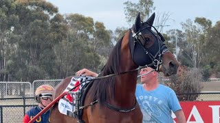 Enchauffour has Breeders Crown glory in his sights [upl. by Pavlish]