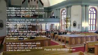 Gudstjänst i larsmo kyrka söndagen den 10 november 2024 [upl. by Monika409]