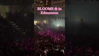 Blooms in Edmonton  BINIVERSE TOUR in Canada 🇨🇦 [upl. by Grantland]