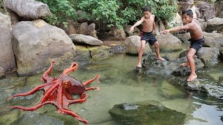 Wilderness Food  Found Octopus at the Beach [upl. by Toland]