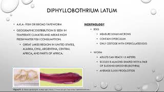 Cestoda 3 of 3 [upl. by Yuji]