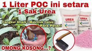 1 LITER POC INI SETARA 1 SAK UREA [upl. by Mittel611]