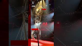 Circus performer falls from wheel of death Circus CircusPerformer Shorts BBCNews [upl. by Charry]