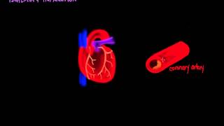 Ischemia and Infarction [upl. by Atikaj542]