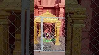 Om namah shivaya surendrapuri inside temples idols [upl. by Opportina]