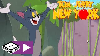 Avventura allo zoo  Tom amp Jerry a New York  Boomerang Italia [upl. by Valdemar764]