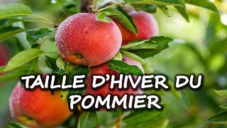 Taille dhiver du Pommier [upl. by O'Connor]