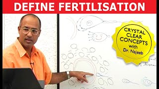 Fertilization Definition  Embryology [upl. by Esile288]