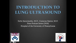 Introduction to Lung Ultrasound  BAVLS [upl. by Nedia]