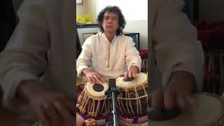 Ustad Zakir Hussain New Tabla Video shorts [upl. by Morgen]