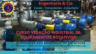 13 Principais Tipos de Equipamentos Rotativos Encontrados nas Empresas  VEDAÇÃO IND P EQ ROTATIVO [upl. by Nnaillij]