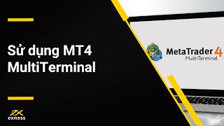 Cách sử dụng MT4 MultiTerminal [upl. by Lyram]