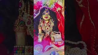 Rasna radhe radhe bollove radheyradhey [upl. by Cristin]