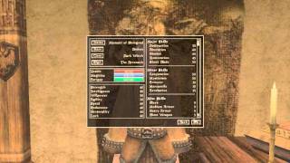 Lets play Morrowind  Part 001  Intro and Character Creation [upl. by Tamqrah866]