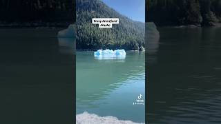 Tracy Arm Fjord Alaska  Carnival Spirit shorts nature iceberg [upl. by Clementia621]