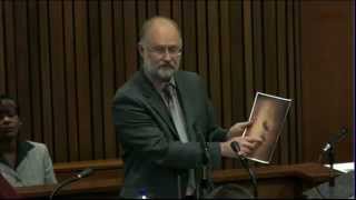 Oscar Pistorius Trial Wednesday 16 April 2014 Session 1 [upl. by Jerrine]