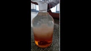 Dissolved Oxygen By Winklers Method  2016 [upl. by Esinnej]