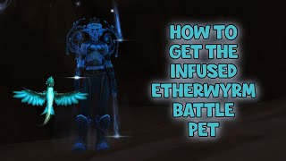 WoW Shadowlands 91  How To Get The Infused Etherwyrm Battle Pet  Night Fae Assault  The Maw [upl. by Steffin]