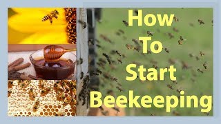 Beekeeping How To Start Beekeeping In 2025 [upl. by Llertnahs]