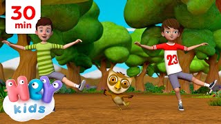 Coucou hibou 🦉 Dans la foret lointaine  Chansons pour Enfants  HeyKids en Français [upl. by Karia278]