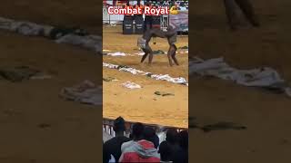 Modou lo Vs Siteu lamb lute mma combatroyal modoulo Siteu [upl. by Adohr]