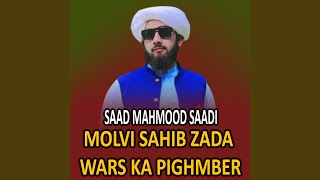 Molvi Sahib Zada Wars Ka Pighmber [upl. by Raimund]