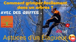 💪COMMENT GRIMPER🌲 FACILEMENT DANS UN ARBRE À LAIDE DE GRIFFESCONSEILS ET ASTUCES DUN ÉLAGUEUR [upl. by Fitzhugh]