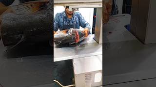 Giant River Boal fish fast cutting skills video shortvideo shortsvideo youtubeshorts [upl. by Uella]