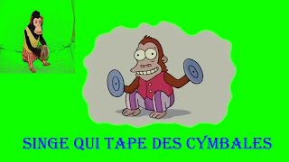 SINGE QUI TAPE DES CYMBALES [upl. by Xella]