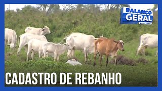 Em Campos produtores e criadores de gado têm até 30 de novembro para cadastrar rebanho [upl. by Selij]