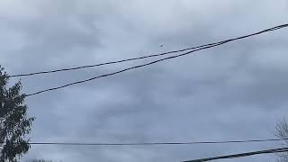 Extra EA300L N4YD Stunt Plane flying over amp landing at Brookhaven Calabro Airport over my house [upl. by Kaela]