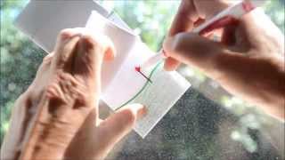 How To Make a Quick amp Easy Flipbook Flip book Drawing of a Flower Growing [upl. by Martinez]