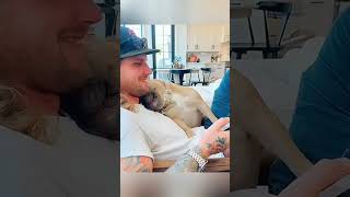 cat dog dogs cut cute love lovecats lovedogs funny virla viralvideo foryou foryoupage [upl. by Mandych275]