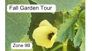 October Garden Tour  Zone 9B  desertgardening [upl. by Elahcar984]