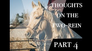 Thoughts on the Two Rein Part 4 [upl. by Esiuole]