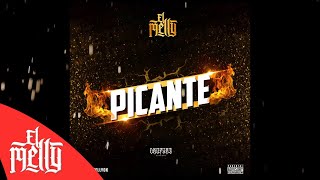 El Melly  Picante Audio [upl. by Alikee]