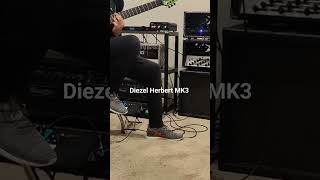 Diezel Herbert MK3 and 7 string [upl. by Matilde304]