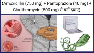 pantop hp tablet uses in hindi  Amoxicillin 750 mg  Pantoprazole 40 mg  Clarithromycin 500 mg [upl. by Berhley]