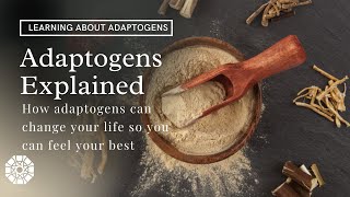 ADAPTOGENS EXPLAINED  How adaptogens can benefit your life  How to take adaptogens [upl. by Christoffer]