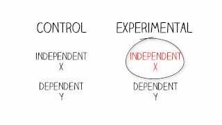 Research Methods Independent amp Dependent Variables [upl. by March17]