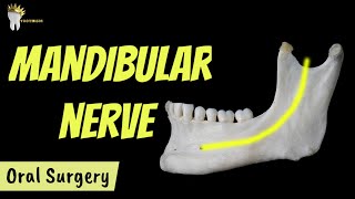 MANDIBULAR NERVE AND ITS BRANCHES [upl. by Carmelle]