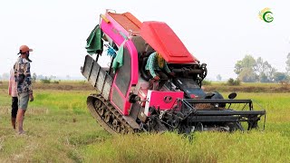 Incredible Safety Operator Harvester Working Skills Cropping Rice By Kubota DC70Plus Machinery [upl. by Enimasaj]