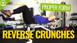 How To Do A Reverse Crunch Correctly  Top Exercise For Lower Abs [upl. by Hairam]