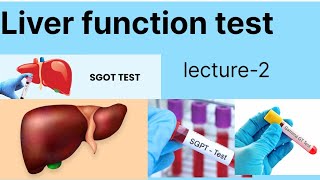 Liver function test lecture2  LFT Liver function test hindi main [upl. by Scholz3]