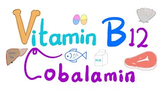 Vitamin B12 Cobalamin 🐚 🥩 🐠  Most Comprehensive Explanation [upl. by Hnid763]